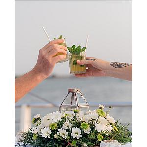 Aristocat Evening Cruise