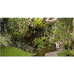 5D & 4N at Pita Maha Resort & Spa - UBUD Bali